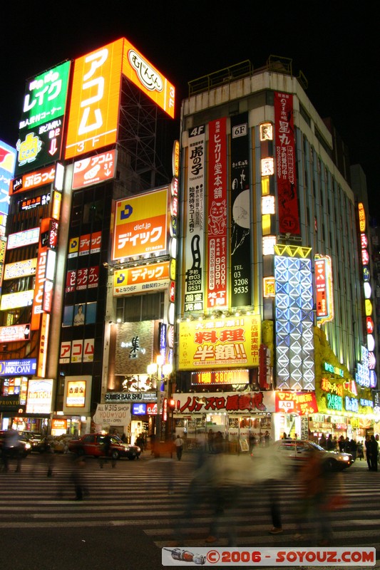 Lights of Shinjuku
