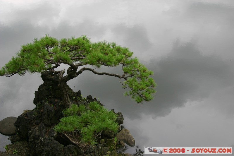 Shinjuku Gyoen National Garden - Bonsai et nuages
