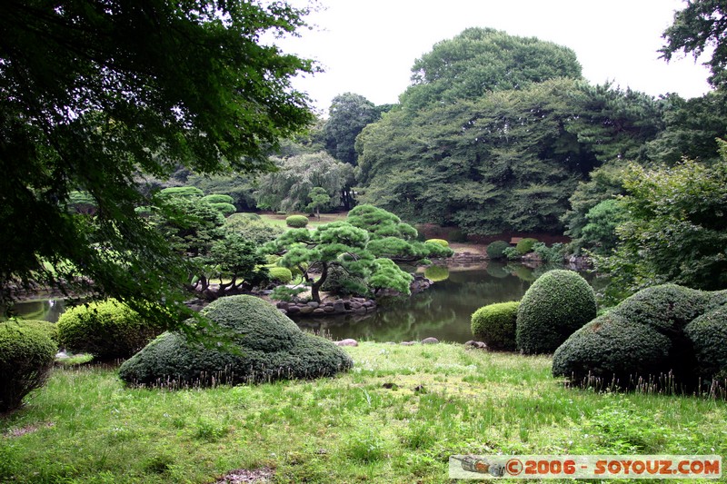 Shinjuku Gyoen National Garden
