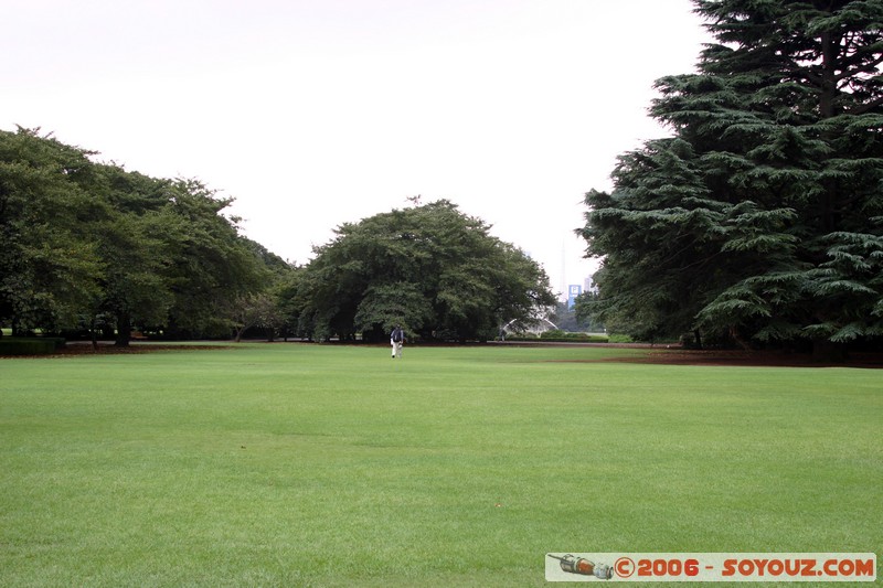 Shinjuku Gyoen National Garden
