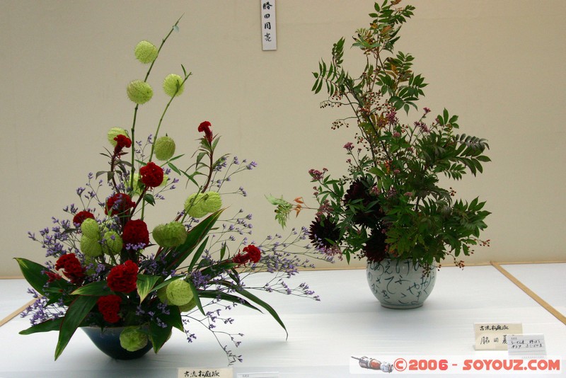 Asakusa - bouquets à la japonaise
Mots-clés: fleur