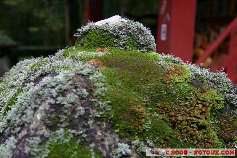 Takinoo Shrine
