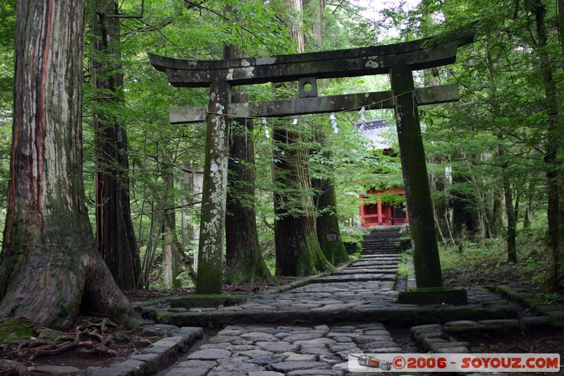 Takinoo Shrine - porte
