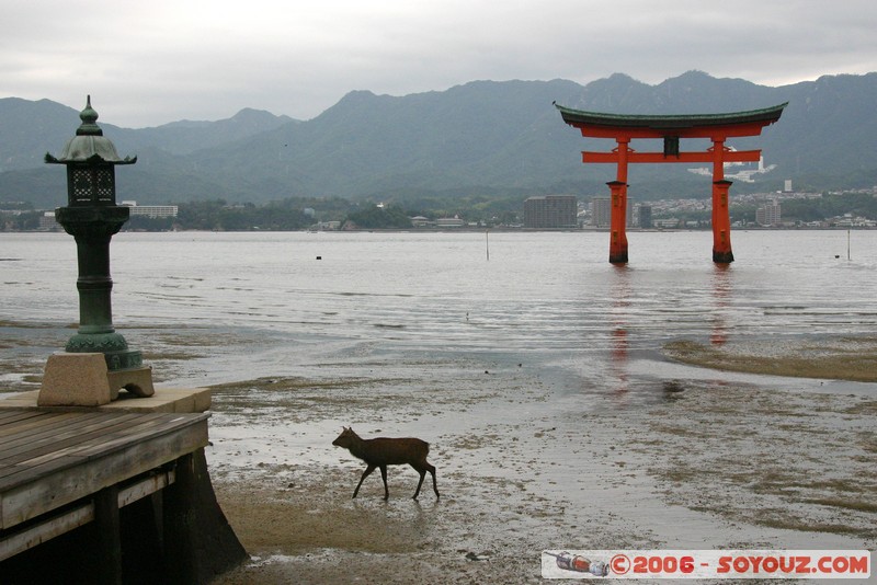 O-torii gate
Mots-clés: patrimoine unesco