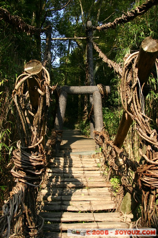 Architecture japonaise - Pont en bambou et vigne de la vallee Kazura-bashi
