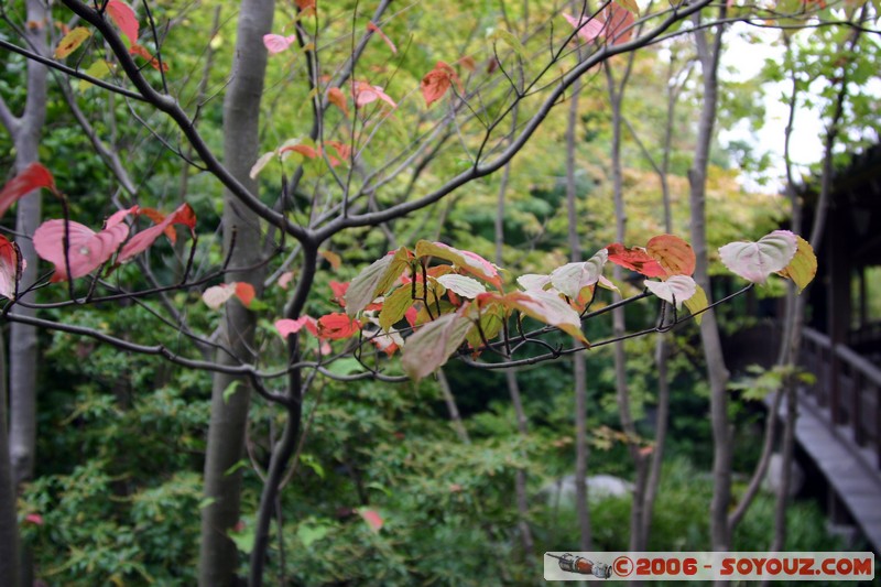 Himeji Koko-en - Oyashiki-no-niwa
