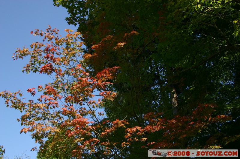 Ginkaku Temple
Mots-clés: patrimoine unesco