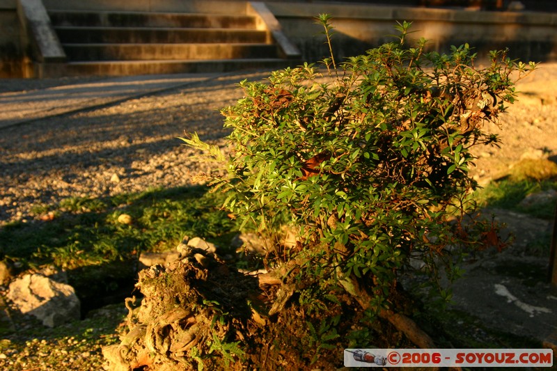 Nanzen-ji temple
