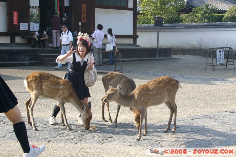 etudiantes japonaises jouant avec les biches
