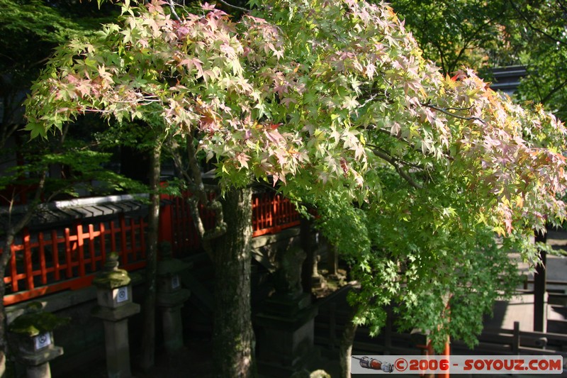 Tamukeyama Hachimangu Shrine
