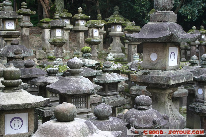 Kasuga Taisha park
Mots-clés: patrimoine unesco