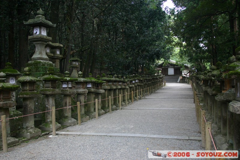 Kasuga Taisha park
Mots-clés: patrimoine unesco