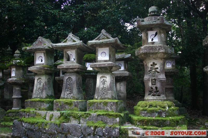 Kasuga Taisha park
Mots-clés: patrimoine unesco