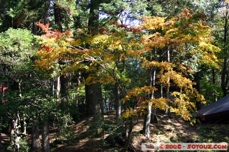 promenade Higashiyama Teramachi
