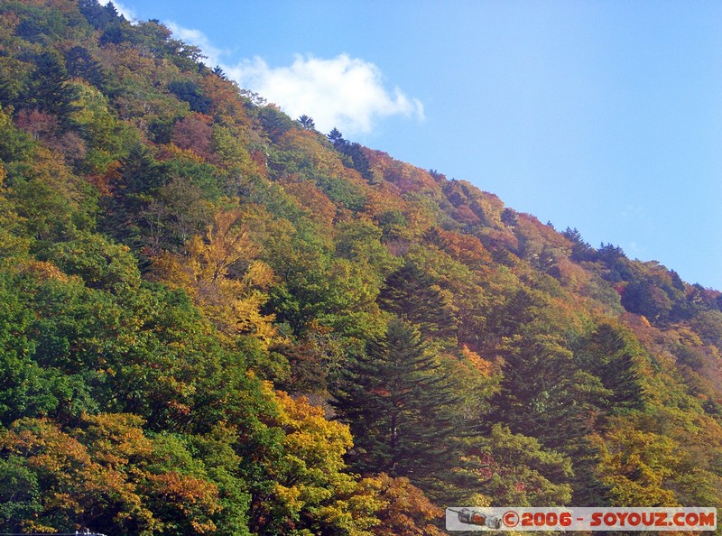 Paysages entre Shinhotaka et Takayama
Mots-clés: Automne Arbres