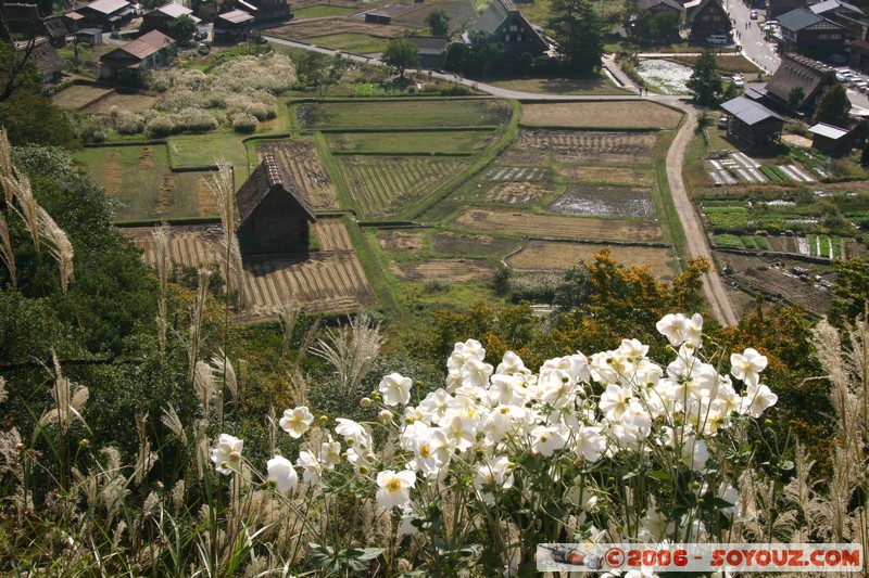 Vue sur Ogimachi
