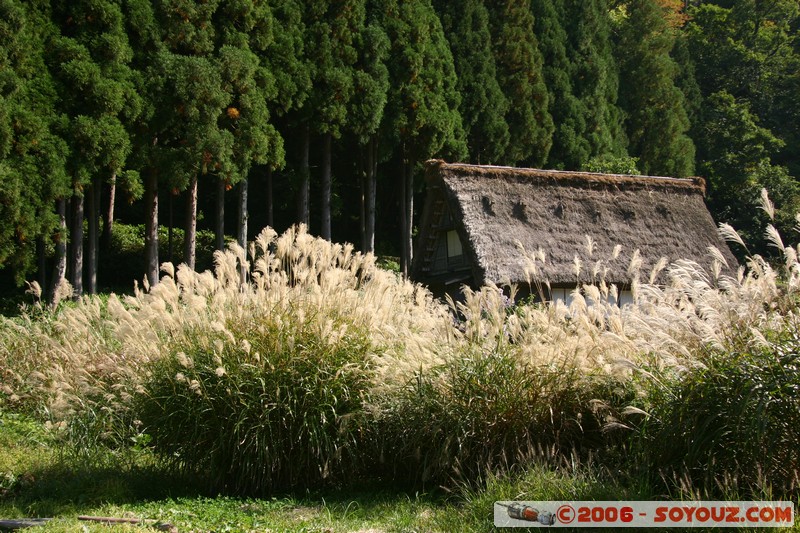 maison gassho-zukuri
Mots-clés: patrimoine unesco