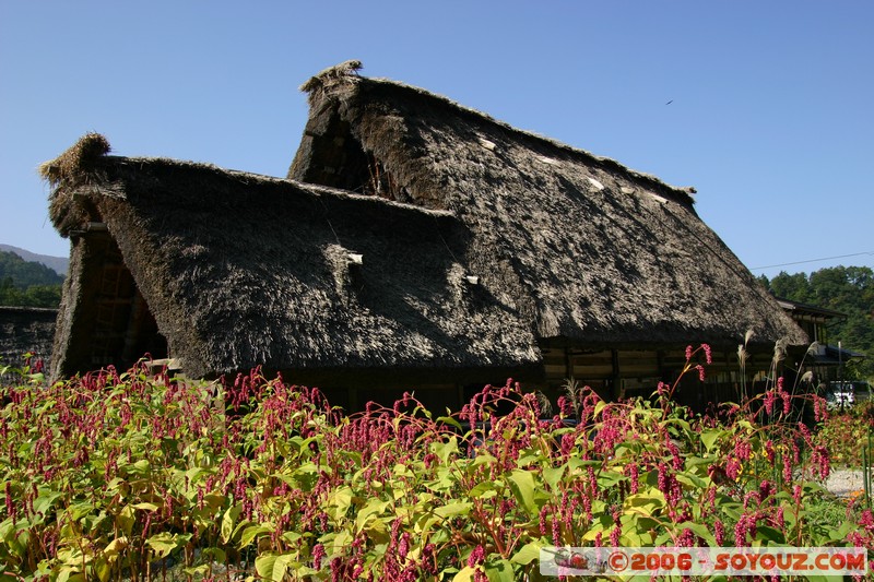 maison gassho-zukuri
Mots-clés: patrimoine unesco