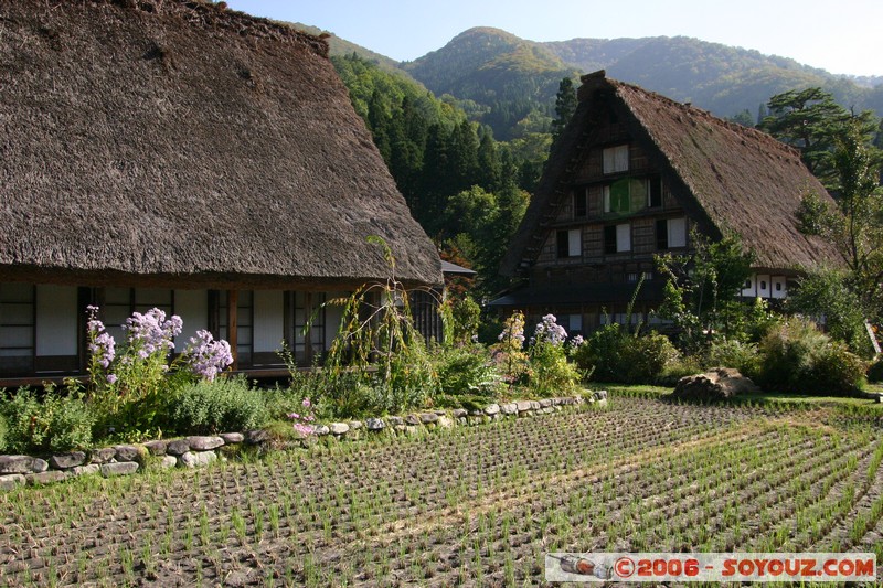 maison gassho-zukuri
Mots-clés: patrimoine unesco