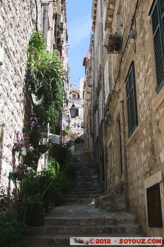Dubrovnik - Ulica Zlatarska
Mots-clés: Bosanka Croatie DubrovaÄ�ko-Neretvanska geo:lat=42.64145798 geo:lon=18.11050196 geotagged HRV PloÄ�e medieval patrimoine unesco