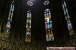 IMG_3184.JPG