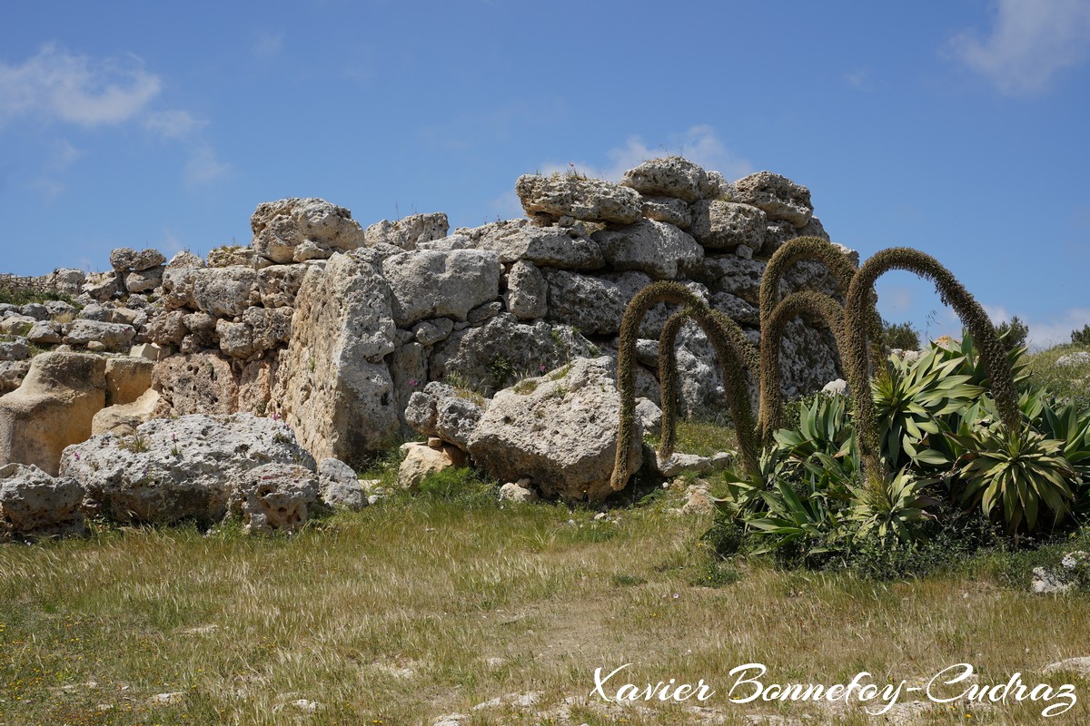 Gozo - Xaghra - Ggantija Neolithic Temple
Mots-clés: geo:lat=36.04747249 geo:lon=14.26945120 geotagged Ix-Xagħra Malte MLT Xagħra Malta Gozo Xaghra Ggantija Neolithic Temple patrimoine unesco ruines neolithiques