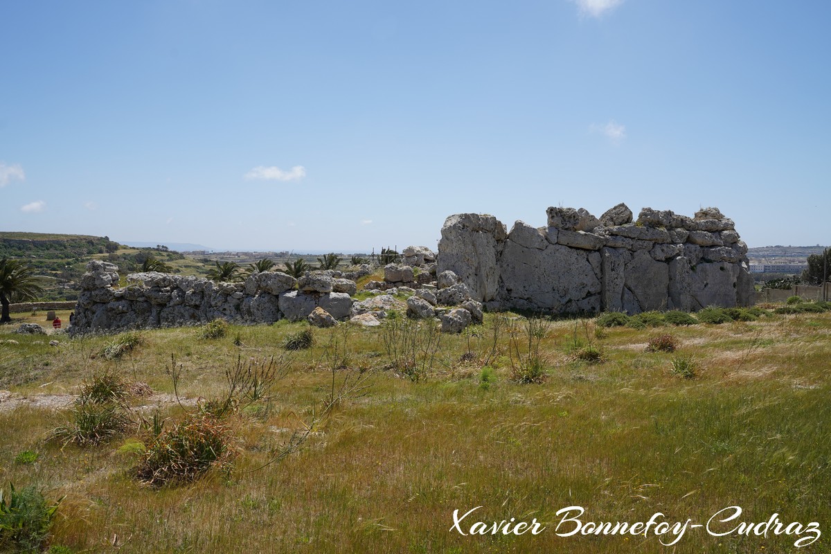 Gozo - Xaghra - Ggantija Neolithic Temple
Mots-clés: geo:lat=36.04725563 geo:lon=14.26855735 geotagged Ix-Xagħra Malte MLT Xagħra Malta Gozo Xaghra Ggantija Neolithic Temple patrimoine unesco ruines neolithiques