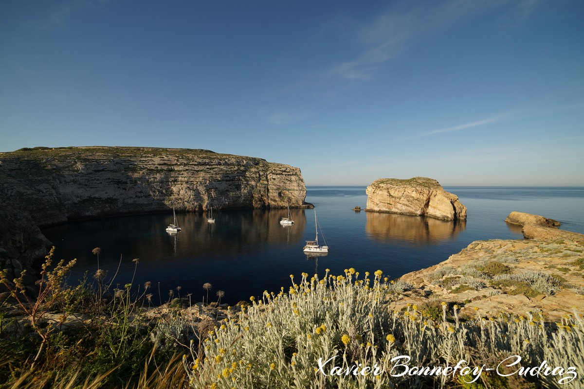 Gozo - Dwejra Bay and Fungus Rock
Mots-clés: Dwejra geo:lat=36.04856548 geo:lon=14.19240743 geotagged Malte MLT Saint Lawrence San Lawrenz Malta Gozo paysage Fungus Rock Mer Dwejra Bay bateau