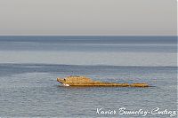 DSC05465.JPG
