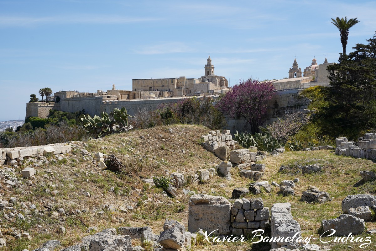 Ir-Rabat - view on  L-Imdina
Mots-clés: geo:lat=35.88550583 geo:lon=14.39946324 geotagged Ir-Rabat Malte Mdina MLT Rabat Malta L-Imdina Ruines