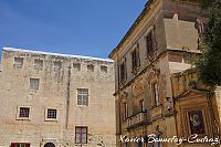 DSC05553.JPG