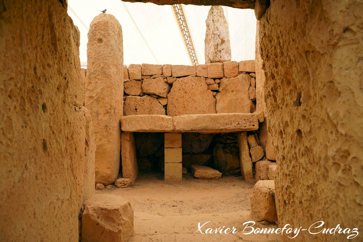 Mnajdra temples
Mots-clés: geo:lat=35.82681152 geo:lon=14.43626851 geotagged Il-Qrendi Malte MLT Qrendi Ta’ San Niklaw Malta Southern Region patrimoine unesco Ruines ruines neolithiques Mnajdra temples