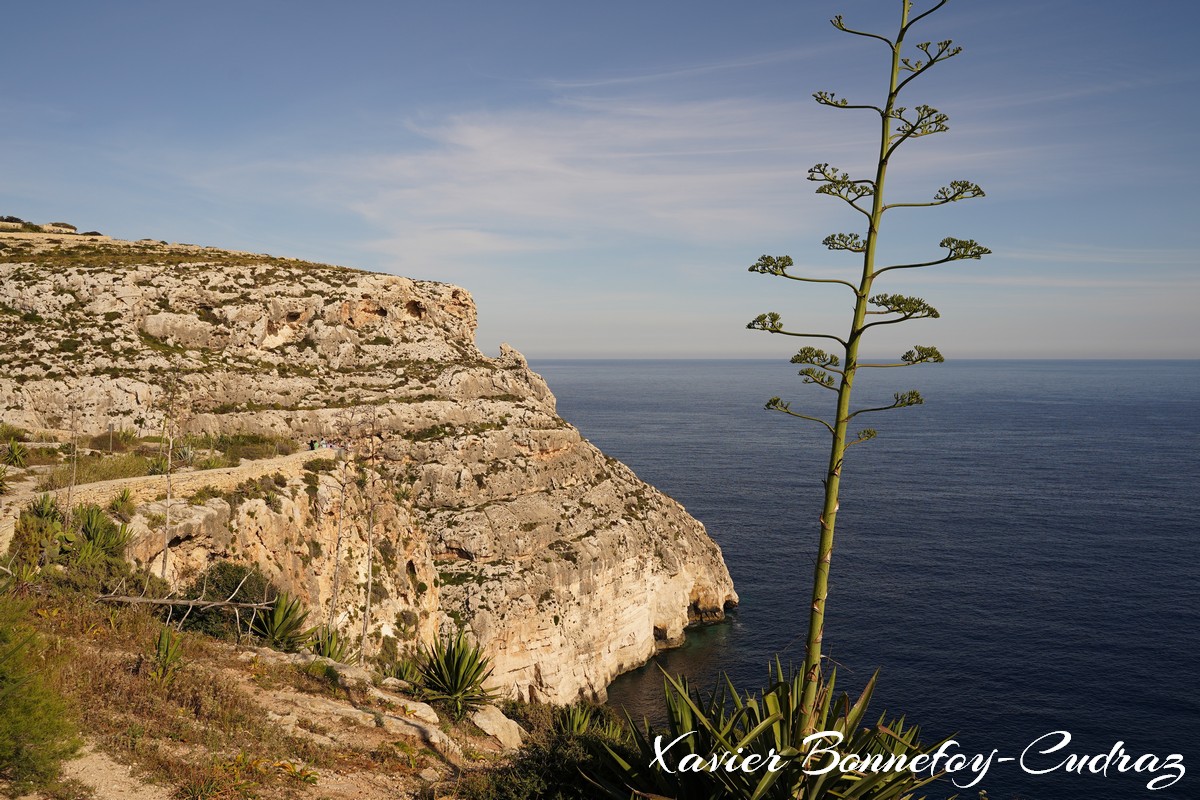 iz-Zurrieq
Mots-clés: geo:lat=35.82204116 geo:lon=14.45757329 geotagged Il-Qrendi Malte MLT Nigred Qrendi Malta Southern Region Mer