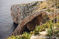 DSC05887.JPG