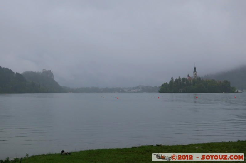 Bled - Lake - Castle and St Mary's church
Mots-clés: Bled geo:lat=46.36231239 geo:lon=14.08176023 geotagged Krnica SlovÃ¨nie SVN Slovenie Lac chateau