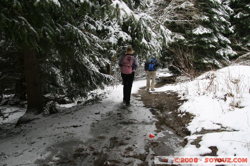 Mont Vitosha
Mots-clés: Neige