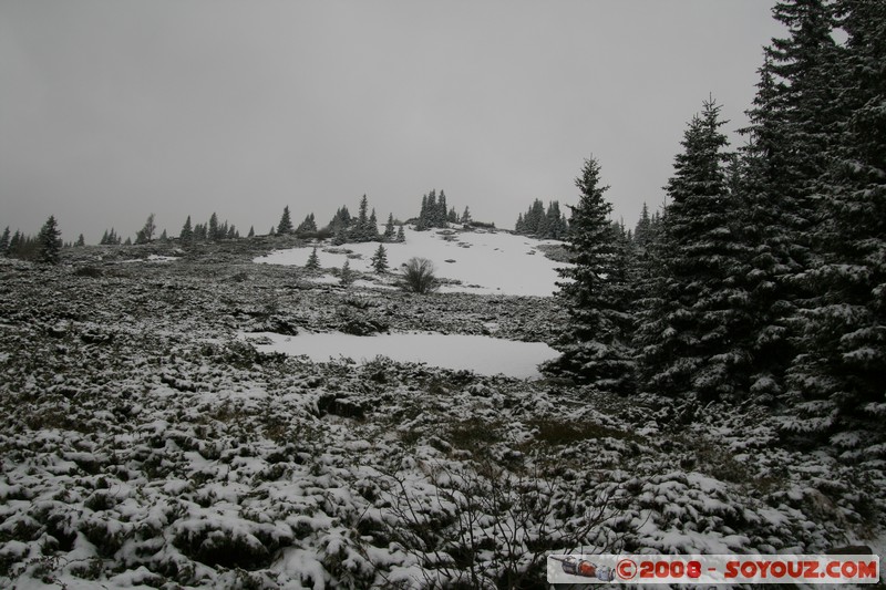 Mont Vitosha
Mots-clés: Neige