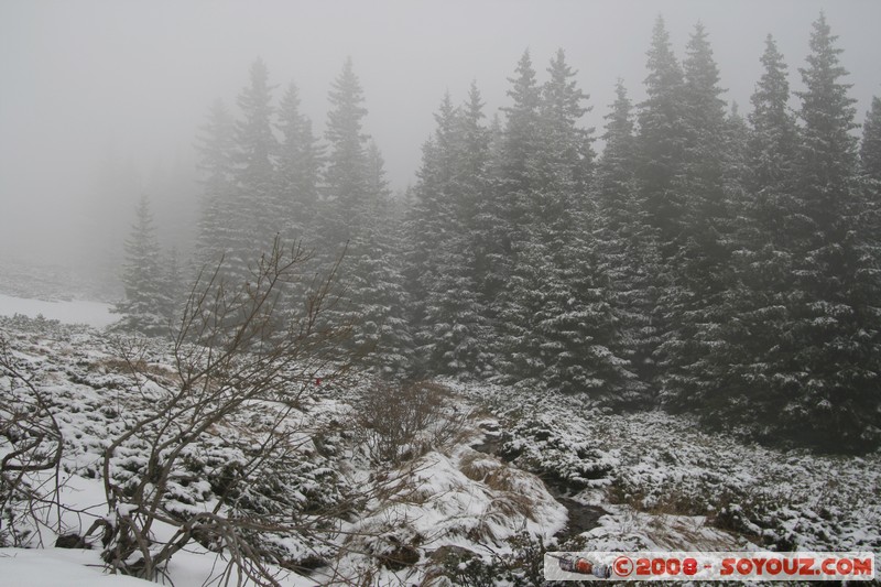 Mont Vitosha
Mots-clés: Neige brume