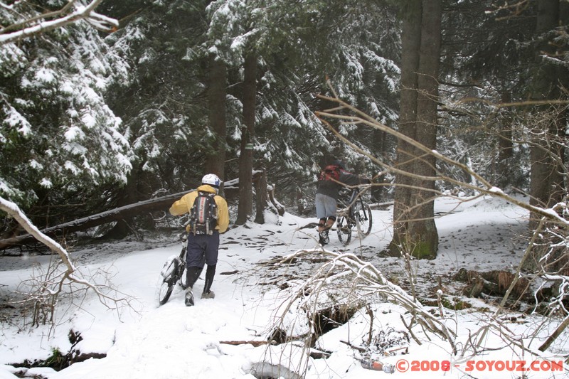 Mont Vitosha
Mots-clés: Neige brume