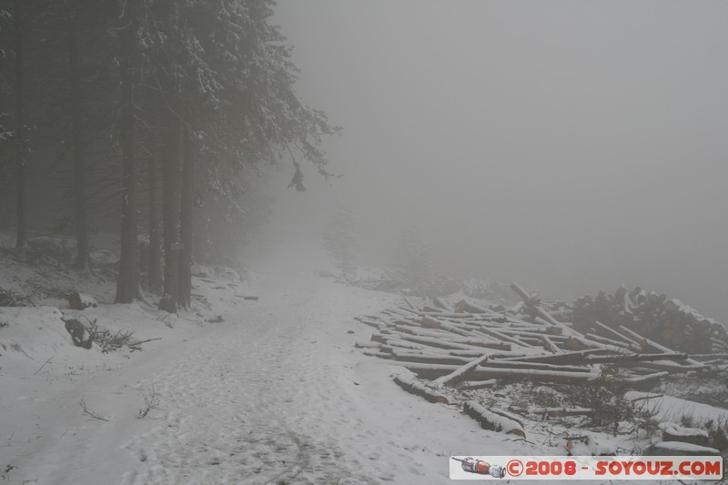 Mont Vitosha
Mots-clés: Neige brume