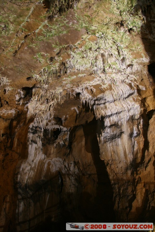 Dryanovo - Bacho Kiro Cave
Mots-clés: grotte