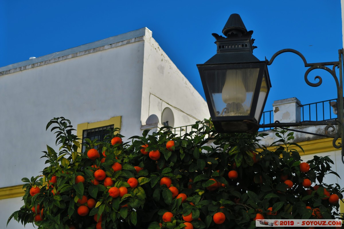 Cordoba - Juderia
Mots-clés: Andalucia Córdoba ESP Espagne Terrenos Del Castillo (Cordoba) Juderia Orange