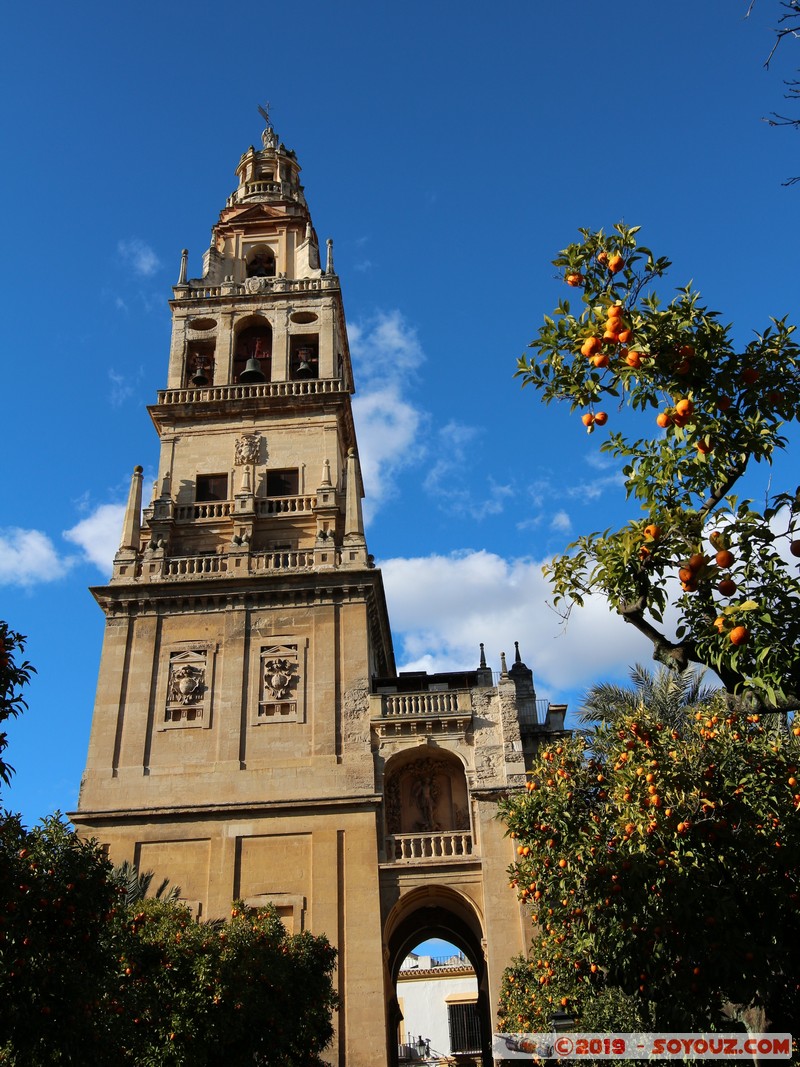 Cordoba - Mezquita-Catedral - Torre Campanario
Mots-clés: Andalucia Córdoba ESP Espagne Terrenos Del Castillo (Cordoba) Mezquita-Catedral Eglise Mosque patrimoine unesco Torre Campanario Patio de los Naranjos