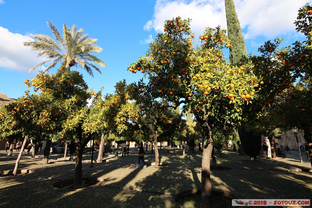 Cordoba - Mezquita-Catedral - Patio de los Naranjos
Mots-clés: Andalucia Córdoba ESP Espagne Terrenos Del Castillo (Cordoba) Mezquita-Catedral Eglise Mosque patrimoine unesco Patio de los Naranjos