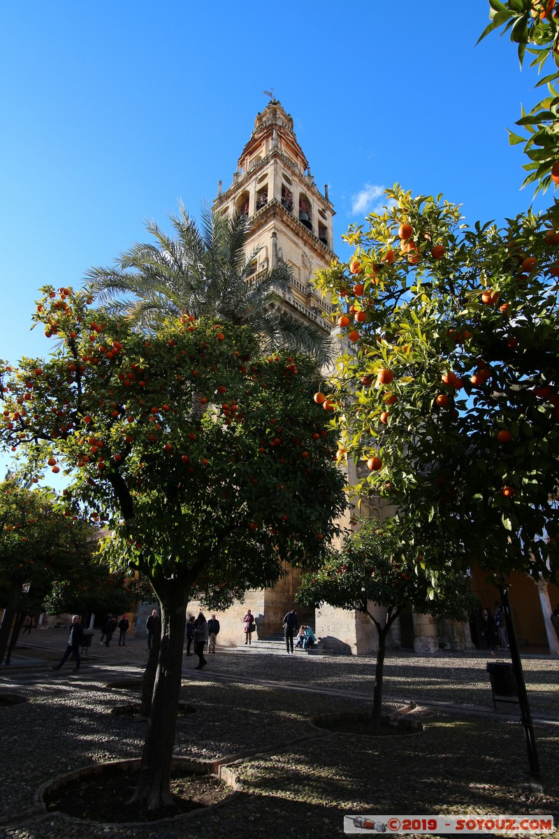 Cordoba - Mezquita-Catedral - Torre Campanario
Mots-clés: Andalucia Córdoba ESP Espagne Terrenos Del Castillo (Cordoba) Mezquita-Catedral Eglise Mosque patrimoine unesco Torre Campanario