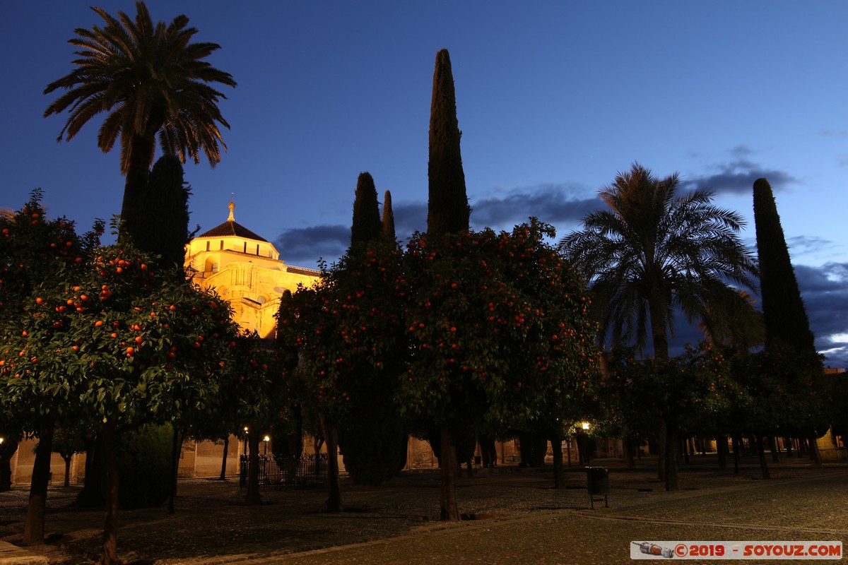 Cordoba by Night - Mezquita-Catedral - Patio de los Naranjos
Mots-clés: Andalucia Córdoba ESP Espagne Terrenos Del Castillo (Cordoba) Nuit Mezquita-Catedral Eglise Mosque patrimoine unesco Patio de los Naranjos