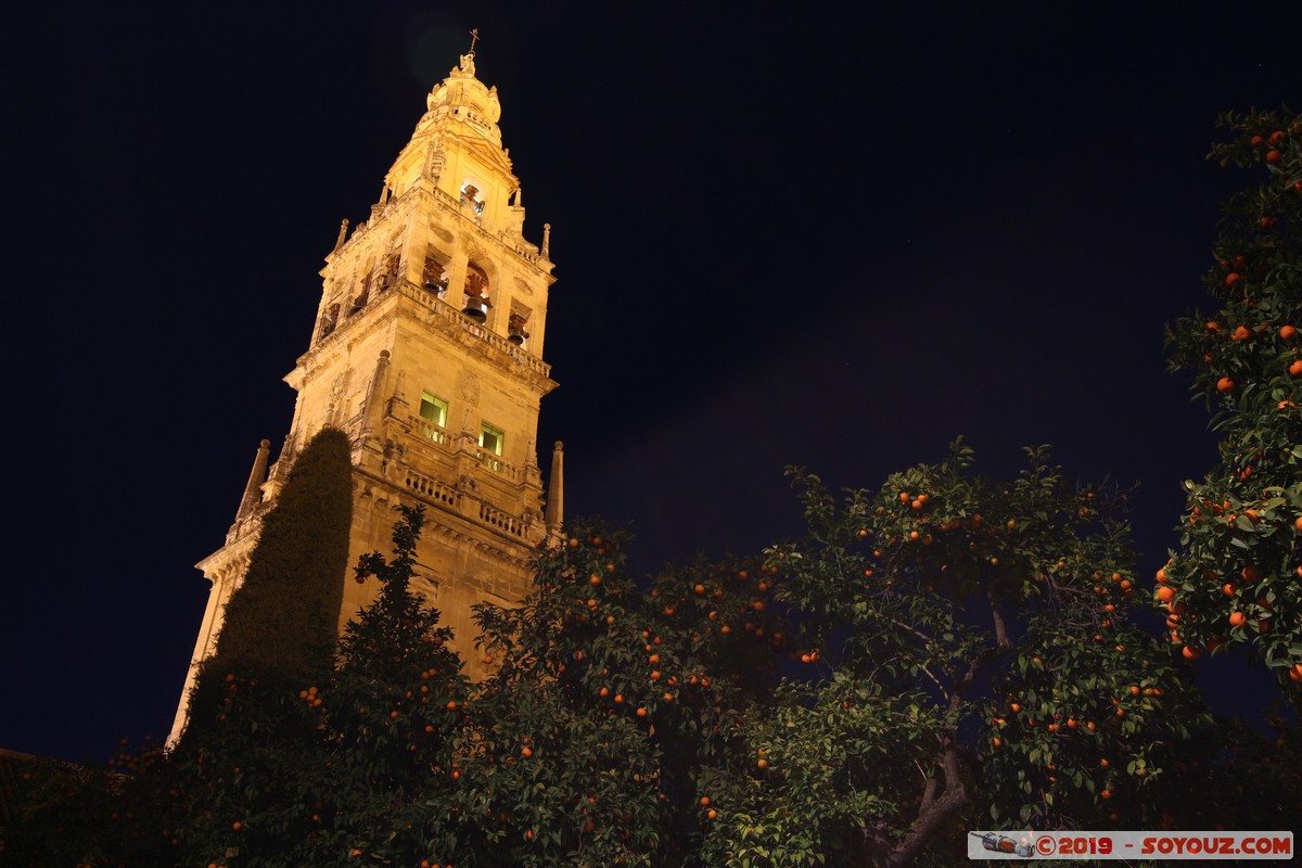 Cordoba by Night - Mezquita-Catedral - Torre Campanario
Mots-clés: Andalucia Córdoba ESP Espagne Terrenos Del Castillo (Cordoba) Nuit Mezquita-Catedral Eglise Mosque patrimoine unesco Torre Campanario Patio de los Naranjos