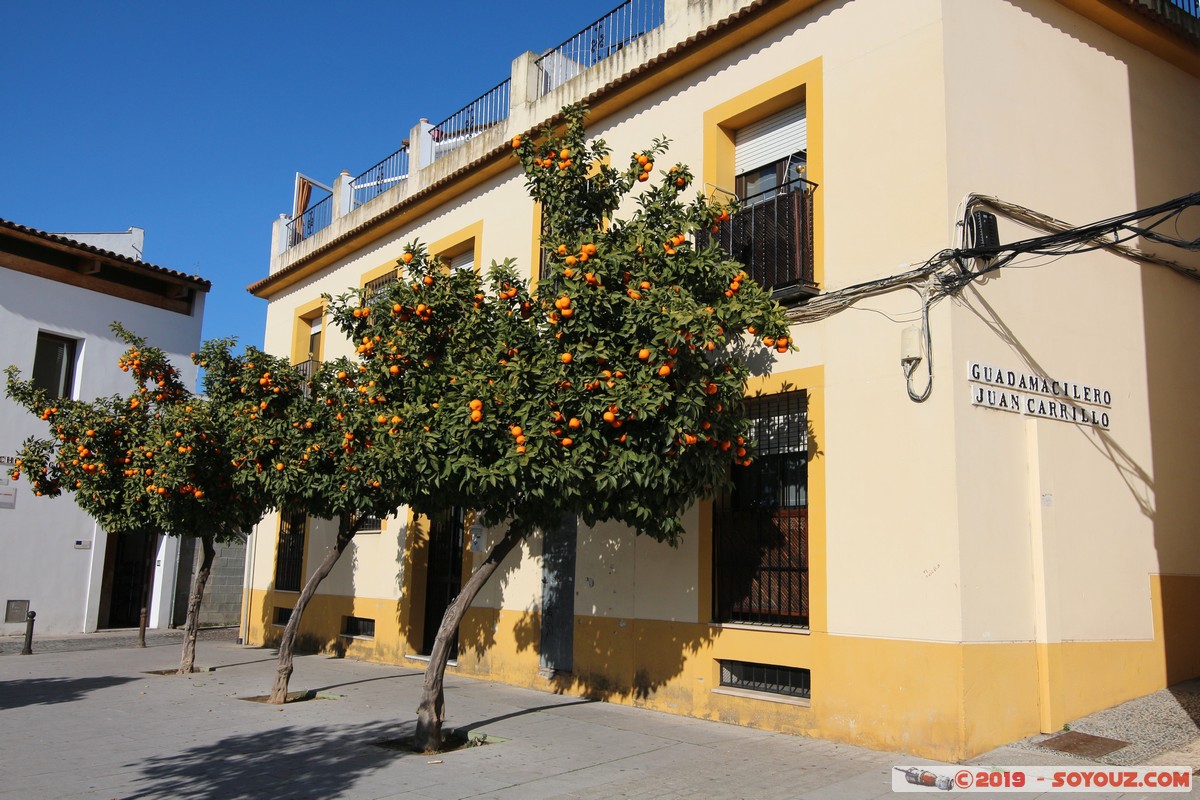 Cordoba - Plaza del Potro
Mots-clés: Andalucia Córdoba ESP Espagne Pitas, Las (Cordoba) Plaza del Potro