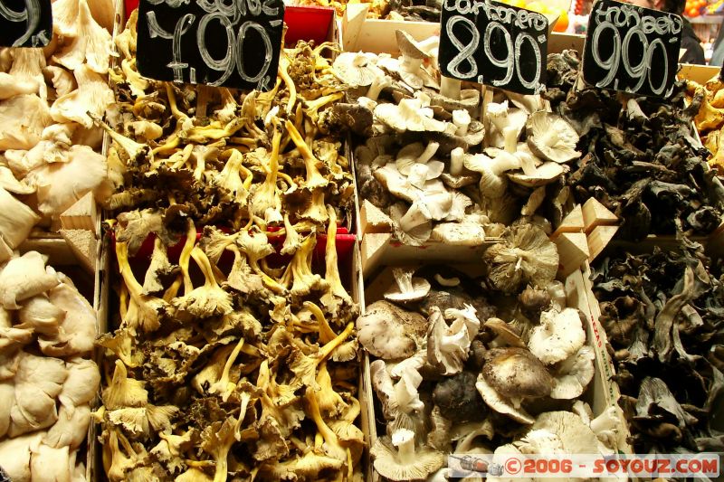 Champignons
Mercat Boqueria
Mots-clés: Barcelona Barcelone Catalogne Espagne Gaudi La Ciutadella Mercat Boqueria Parc Güell Sagrada Familia