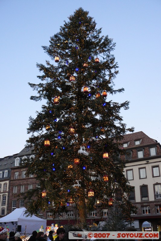 Strasbourg - Sapin Place Kleber
